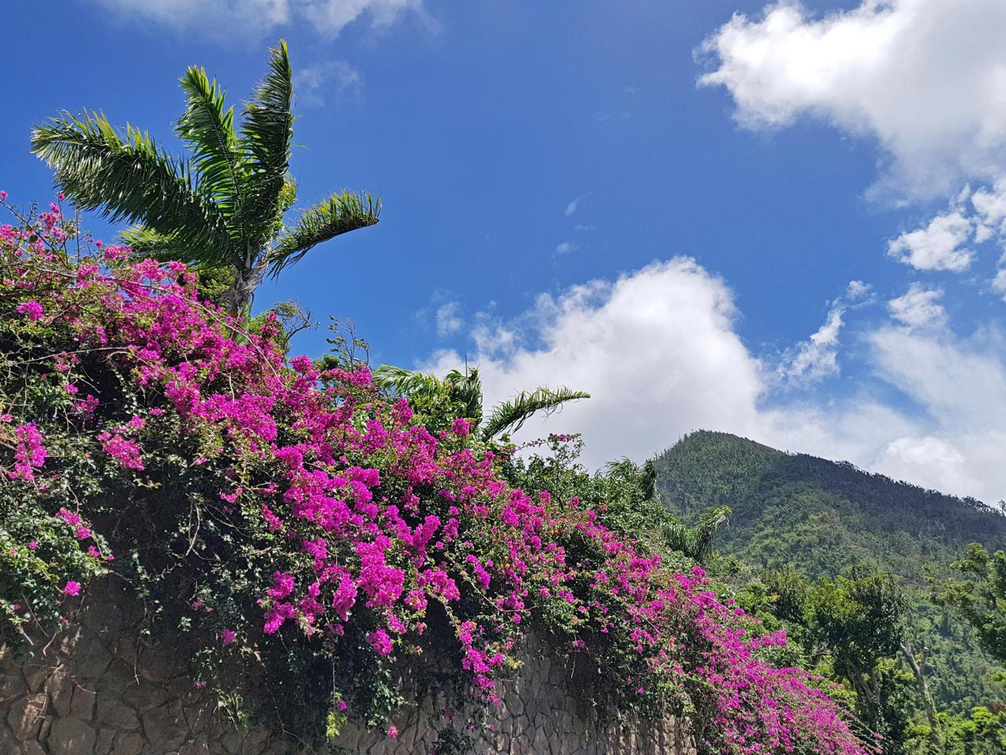 Coulibri Ridge Hotel Soufriere Exterior photo